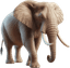 Elefante