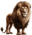 Leão